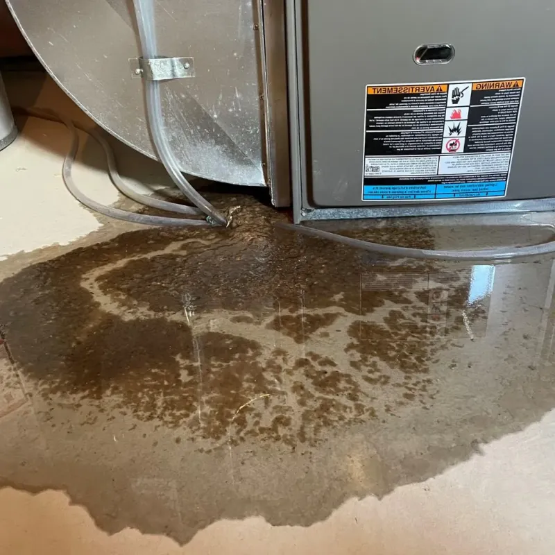 Pipe Burst and Leak Restoration in Galax, VA