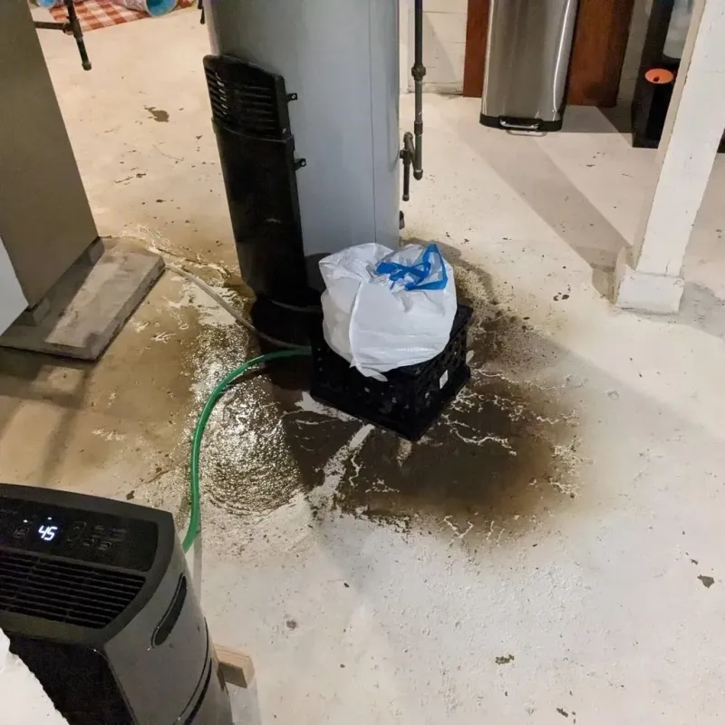 Sewage Backup Cleanup Service in Galax, VA